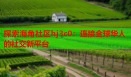 探索海角社区hj3c0：连接全球华人的社交新平台