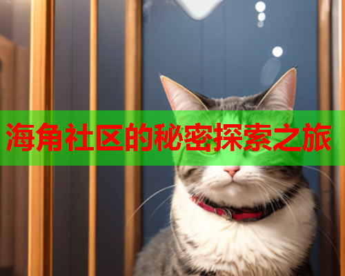 海角社区的秘密探索之旅