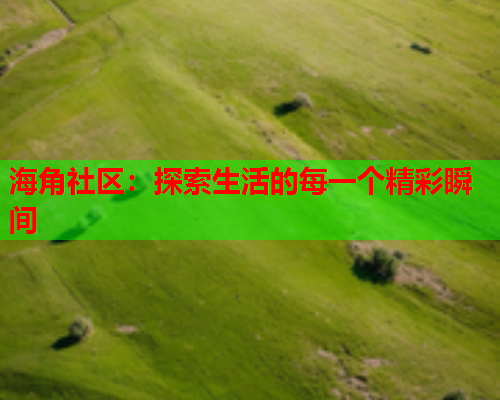 海角社区：探索生活的每一个精彩瞬间