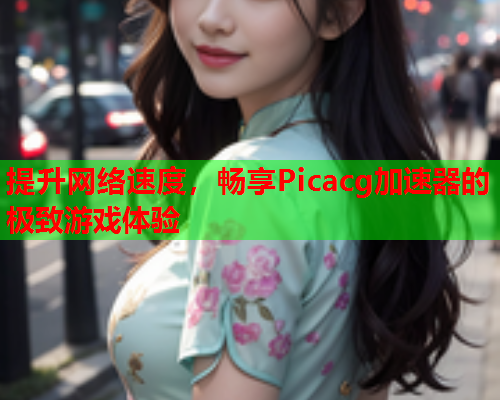 提升网络速度，畅享Picacg加速器的极致游戏体验