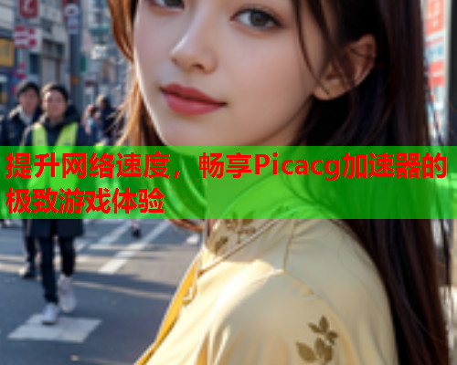 提升网络速度，畅享Picacg加速器的极致游戏体验
